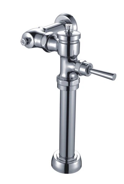 Polerowany chrom z zastawką toaletą